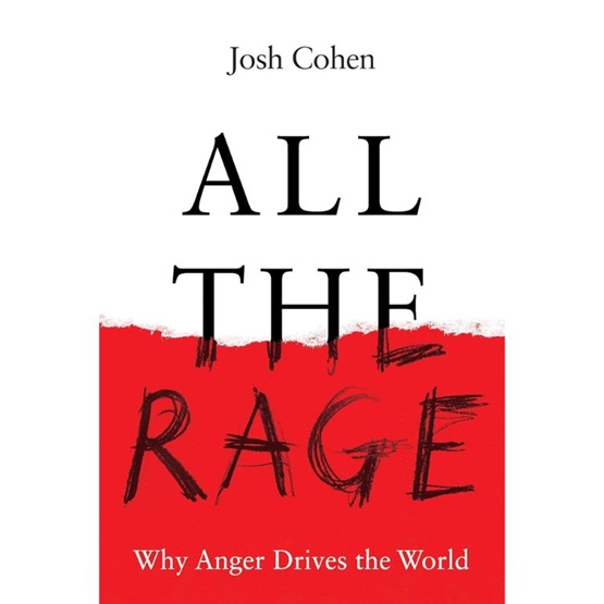 All the Rage : Why Anger Drives the World : All the Rage : Why Anger Drives the World