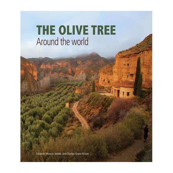 The Olive Tree : Around the World : The Olive Tree : Around the World