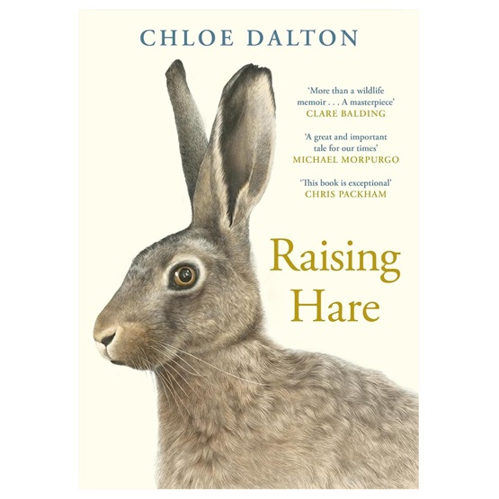 Raising Hare : Raising Hare