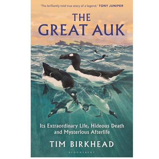 The Great Auk : Its Extraordinary Life, Hideous Death and Mysterious Afterlife (PRE-ORDER 13 MARCH) : The Great Auk : Its Extraordinary Life, Hideous Death and Mysterious Afterlife (PRE-ORDER 13 MARCH)